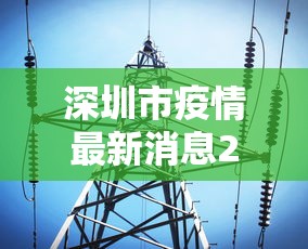 深圳市疫情最新消息2022:深圳市疫情最新动态