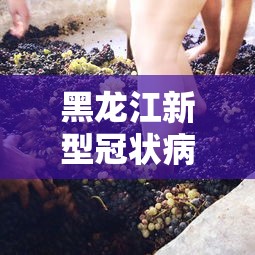 黑龙江新型冠状病毒:黑龙江新型冠状肺炎最新