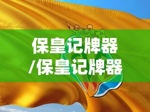 保皇记牌器/保皇记牌器使用教程视频