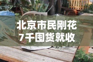北京市民刚花7千囤货就收到保障包（北京市民刚花7千囤货就收到保障包是真的吗）