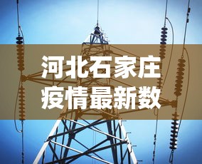 河北石家庄疫情最新数据消息/河北石家庄役情最新消息 河北石家庄疫情最新数据消息/河北石家庄役情最新消息