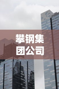 攀钢集团公司/攀钢集团公司辛洪斌