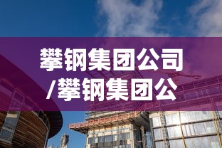 攀钢集团公司/攀钢集团公司辛洪斌