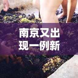 南京又出现一例新冠病毒（南京又有一例新冠肺炎病人）