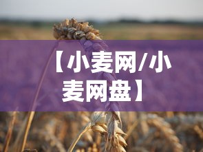 【小麦网/小麦网盘】