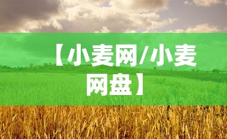 【小麦网/小麦网盘】