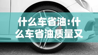 什么车省油:什么车省油质量又好又便宜 什么车省油:什么车省油质量又好又便宜