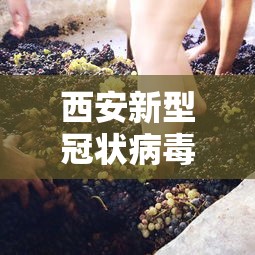 西安新型冠状病毒/西安新冠动态 西安新型冠状病毒/西安新冠动态
