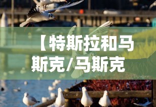 【特斯拉和马斯克/马斯克持有特斯拉股份】 【特斯拉和马斯克/马斯克持有特斯拉股份】