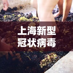上海新型冠状病毒/上海 新型冠状病毒 上海新型冠状病毒/上海 新型冠状病毒