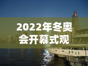 2022年冬奥会开幕式观后感/2022冬奥会观后感600字