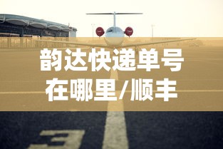 韵达快递单号在哪里/顺丰快递单号查询查快递