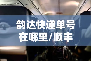 韵达快递单号在哪里/顺丰快递单号查询查快递