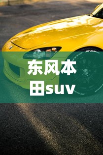 东风本田suv汽车/东风本田suv汽车坐垫