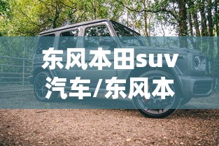 东风本田suv汽车/东风本田suv汽车坐垫