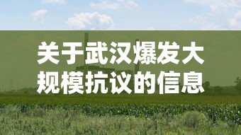 关于武汉爆发大规模抗议的信息