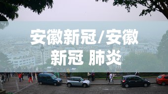 安徽新冠/安徽 新冠 肺炎