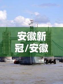 安徽新冠/安徽 新冠 肺炎