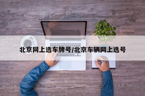 北京网上选车牌号/北京车辆网上选号