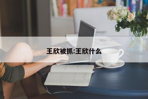 王欣被抓:王欣什么